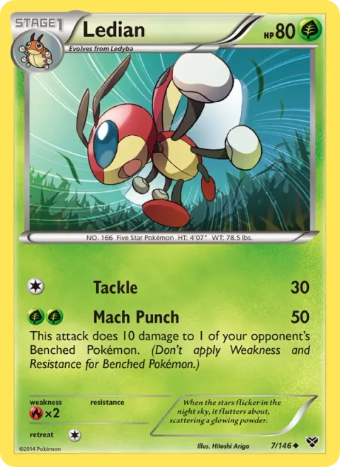 Ledian [Tackle | Mach Punch]