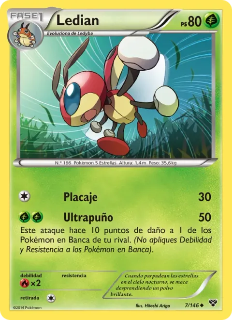 Ledian [Tackle | Mach Punch]