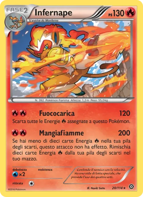 Infernape [Flare Blitz | Flare Up]