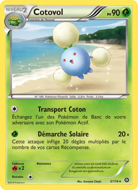 Jumpluff [Fluffy Transport | Solar Step]