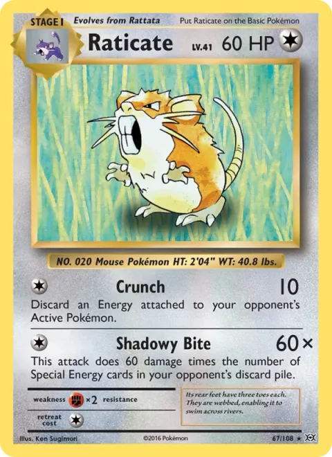 Raticate [Crunch | Shadowy Bite]