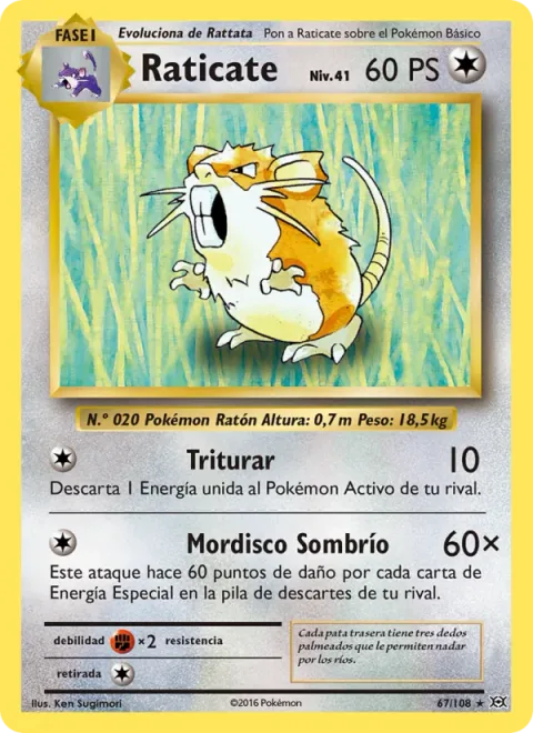 Raticate [Crunch | Shadowy Bite]