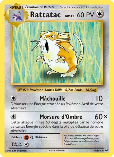 Raticate [Crunch | Shadowy Bite]