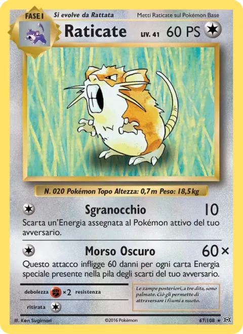 Raticate [Crunch | Shadowy Bite]
