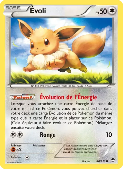 Eevee [Energy Evolution | Gnaw]