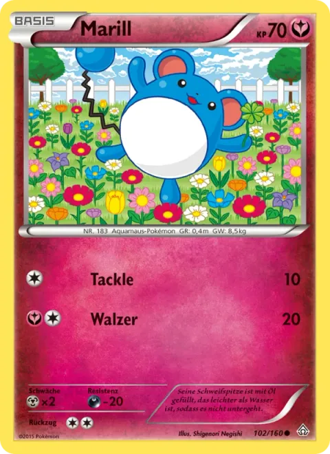 Marill [Tackle | Rollout]