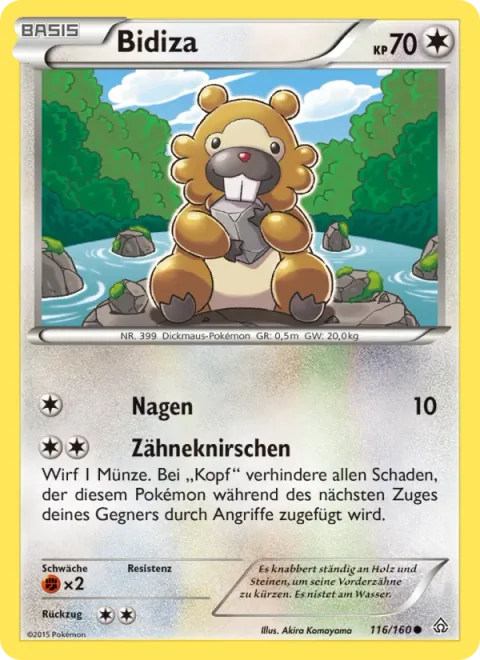 Bidoof [Gnaw | Scrunch]