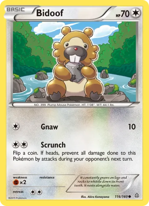 Bidoof [Gnaw | Scrunch]