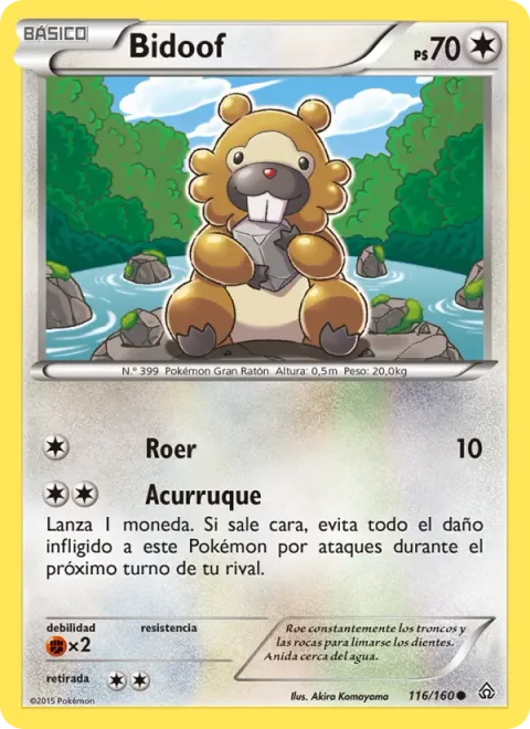 Bidoof [Gnaw | Scrunch]