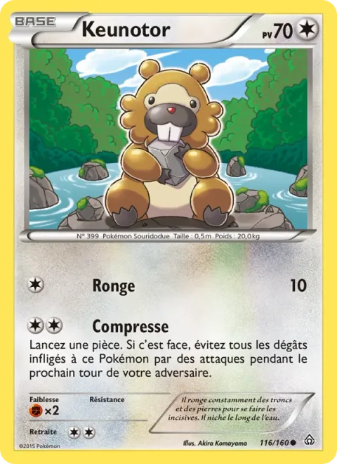 Bidoof [Gnaw | Scrunch]