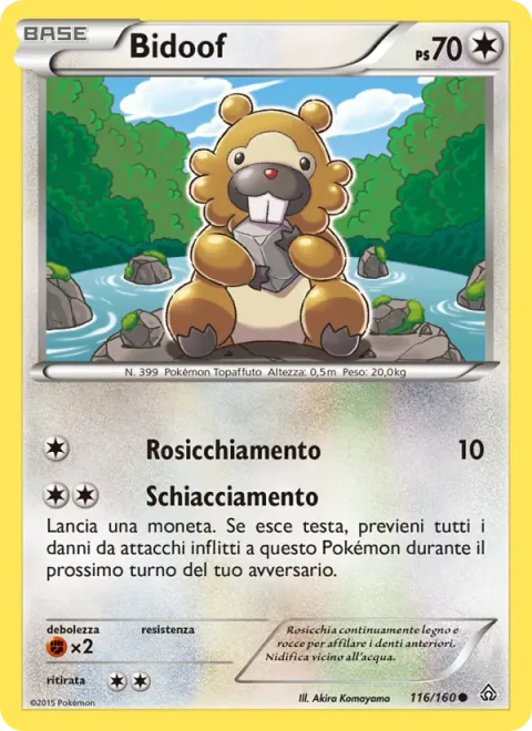 Bidoof [Gnaw | Scrunch]