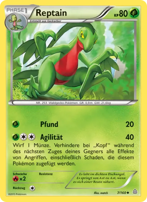 Grovyle [Pound | Agility]
