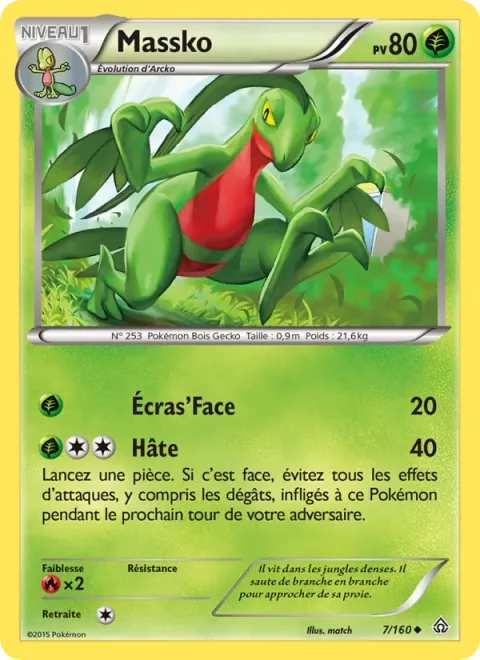 Grovyle [Pound | Agility]