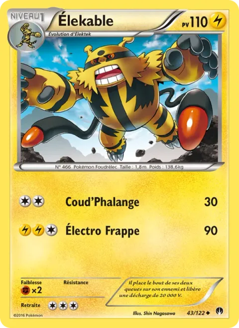 Electivire [Knuckle Punch | Electroslug]