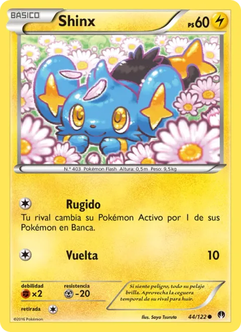 Shinx [Roar | Flop]