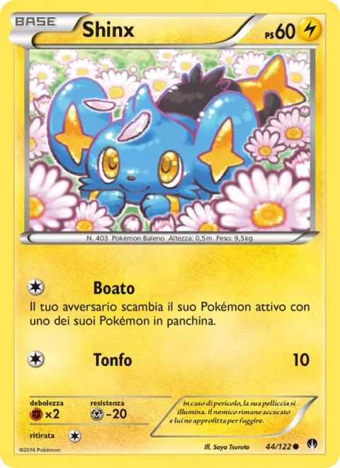Shinx [Roar | Flop]