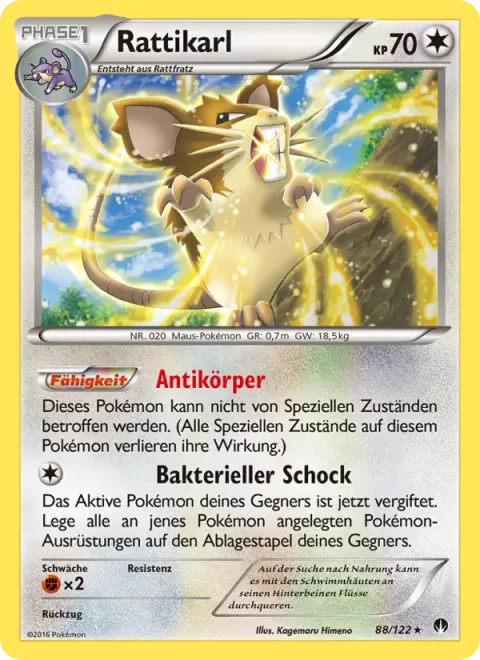 Raticate [Antibodies | Dirty Shock]