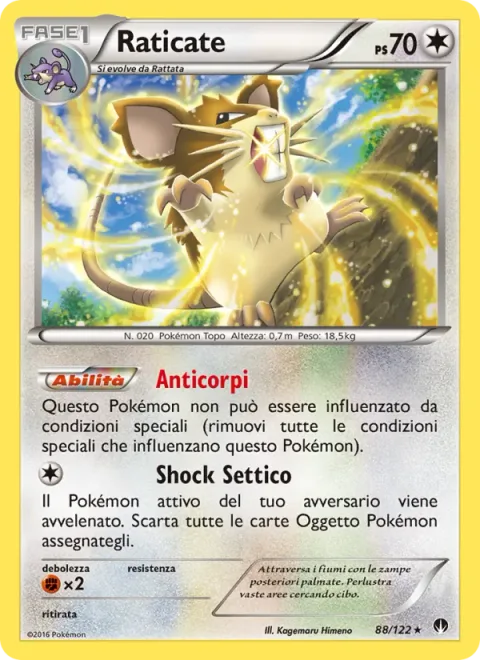 Raticate [Antibodies | Dirty Shock]
