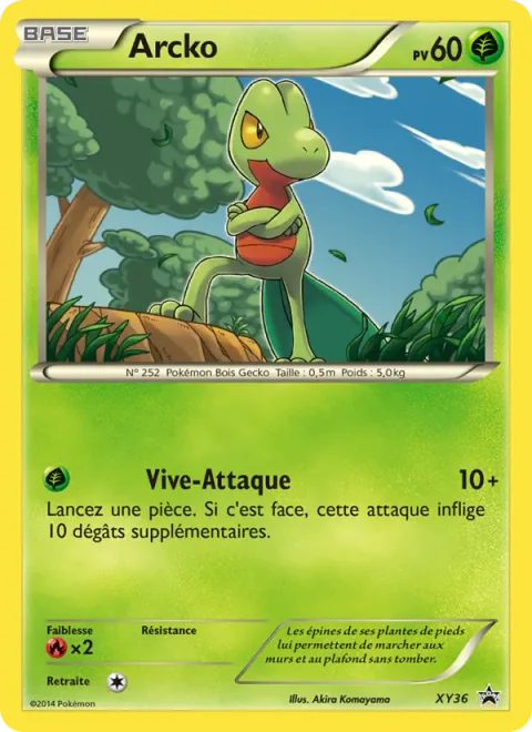 Treecko [Quick Attack]