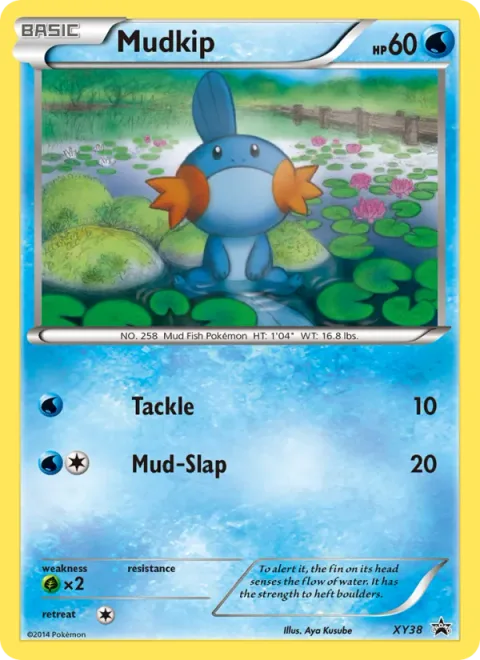 Mudkip [Tackle | Mud-Slap]