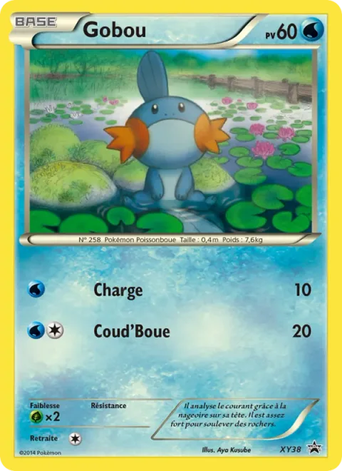 Mudkip [Tackle | Mud-Slap]