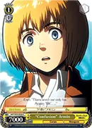 ""Confusion"" Armin