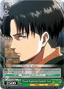 ""Scout Regiment Captain"" Levi