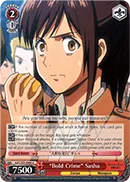 ""Bold Crime"" Sasha