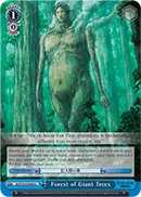 Forest of Giant Trees