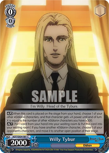 Willy Tybur