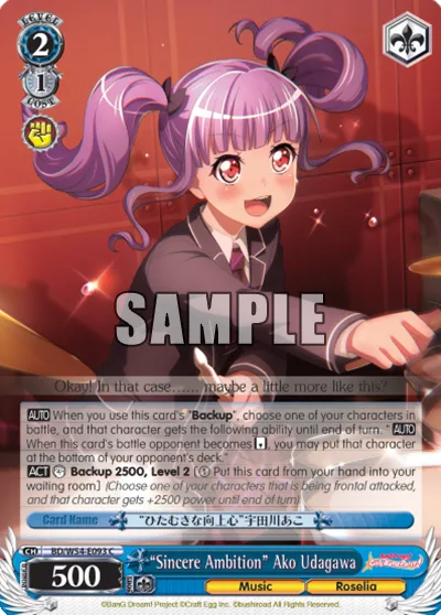""Sincere Ambition"" Ako Udagawa