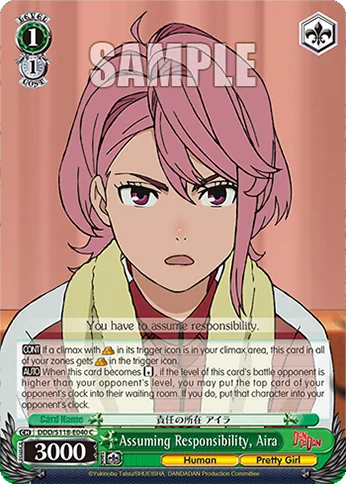 Assuming Responsibility, Aira