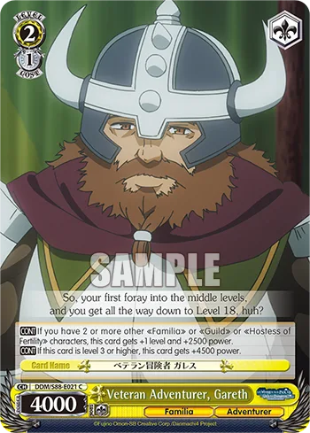 Veteran Adventurer, Gareth