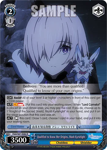 Qualified to Know Her Origins, Mash Kyrielight