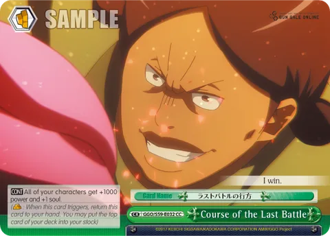 Course of the Last Battle
