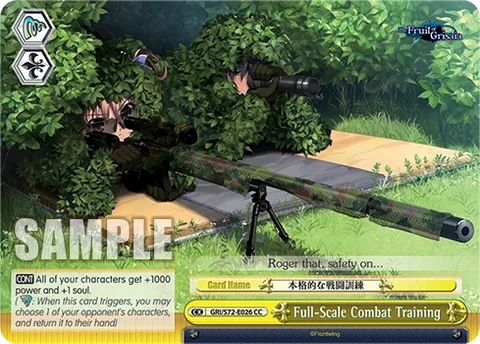Full-Scale Combat Training