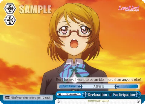 Declaration of Participation