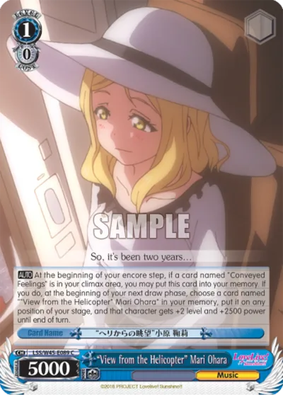 ""View from the Helicopter"" Mari Ohara