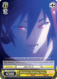 Memory Sharing, Sora