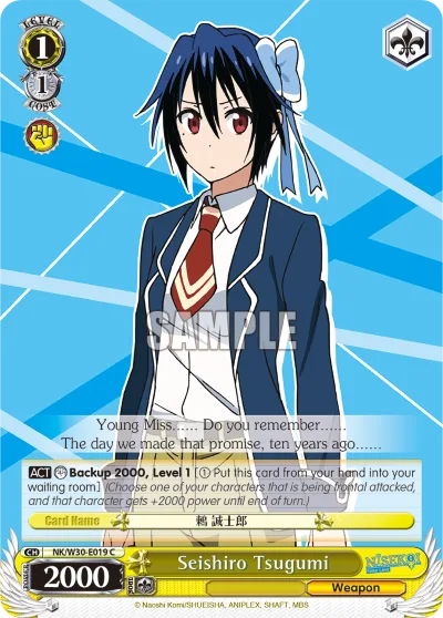 Seishiro Tsugumi