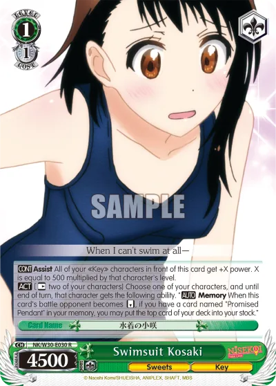 Swimsuit Kosaki