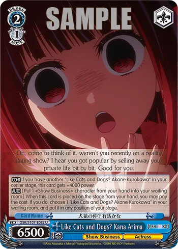 Like Cats and Dogs? Kana Arima