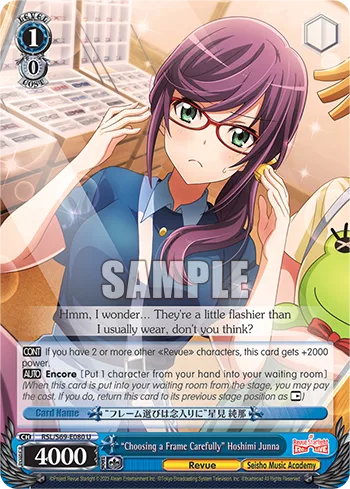 ""Choosing a Frame Carefully"" Hoshimi Junna