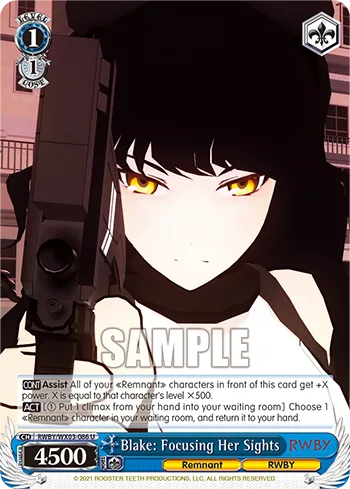 Blake: Focusing Her Sights