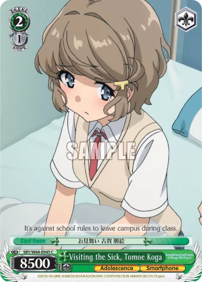 Visiting the Sick, Tomoe Koga