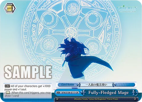 Fully-Fledged Mage