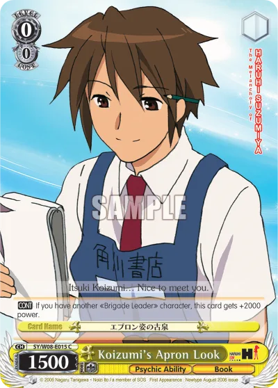 Koizumi's Apron Look