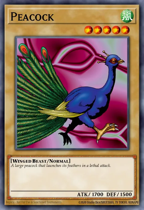 Peacock