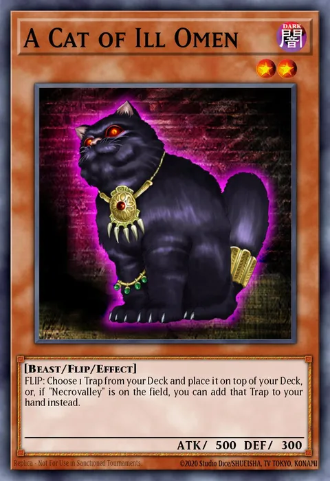 A Cat of Ill Omen