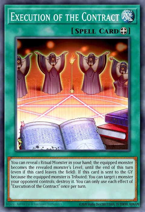 Execution of the Contract